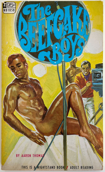 The Beefcake Boys  Vintage Gay Pulp Novel by Aaron Thomas