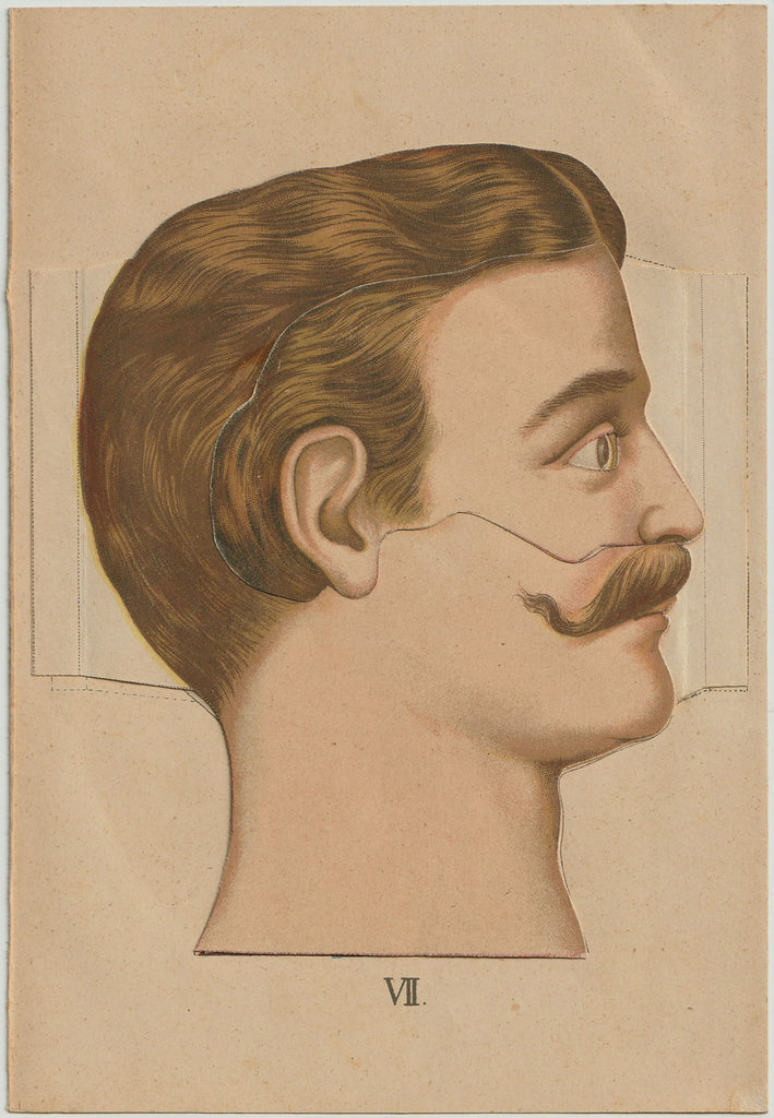 Antique chromolithograph showing the exterior and interior of a mustachioed man's head and neck.