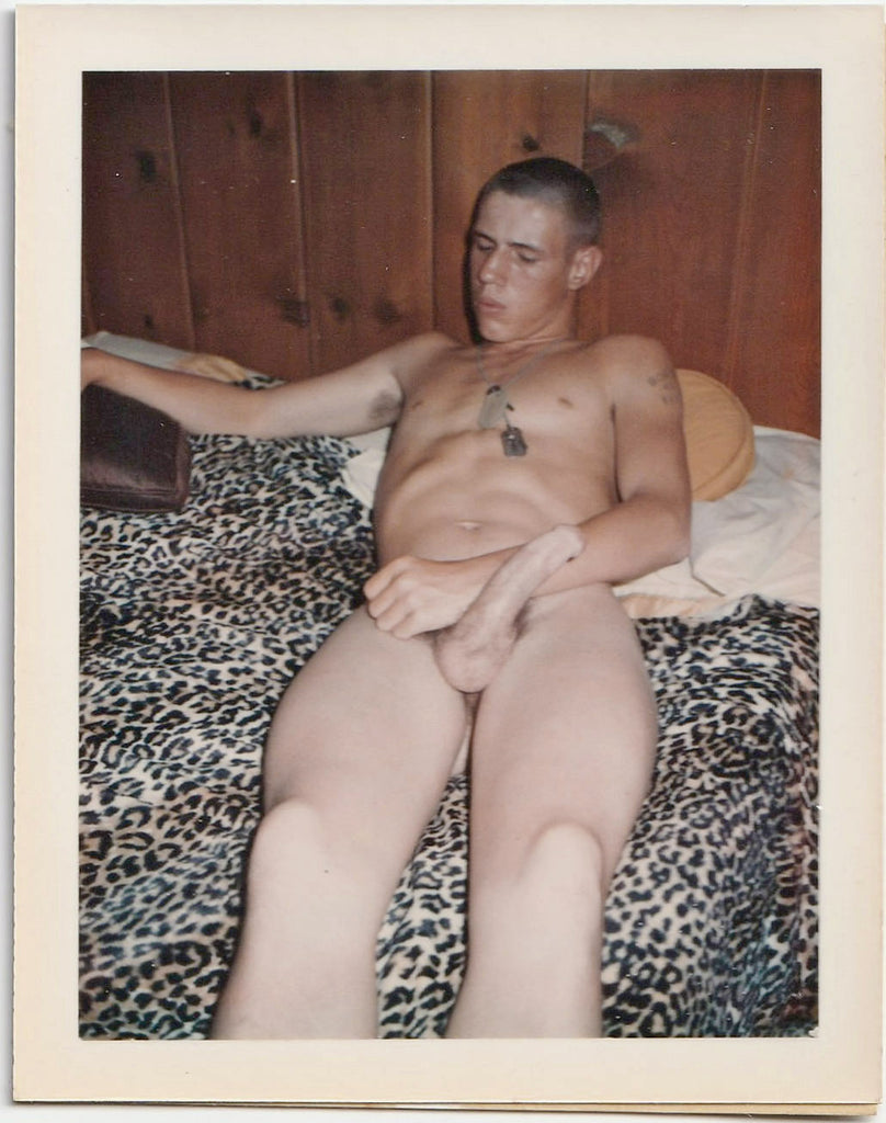 Vintage gay Polaroid male nude with his shaved head and dog tags reclines on faux leopard blanket