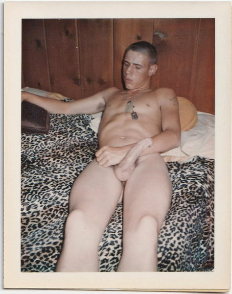 Vintage gay Polaroid male nude with his shaved head and dog tags reclines on faux leopard blanket