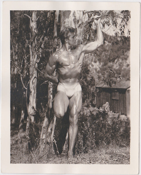 Ed Fury, oiled muscles glistening in the sunlight, holds a branch of a Eucalpytus tree. Vintage physique photo.