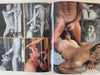 COLT Men Issue No. 9