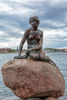 The Little Merman