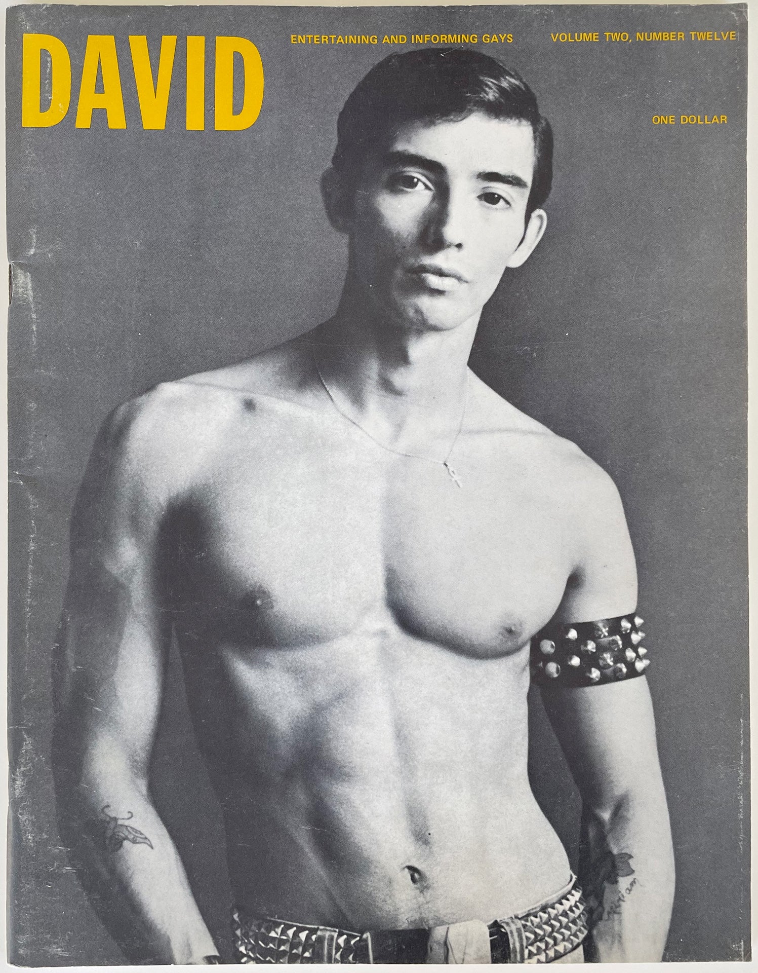 David: Vintage Gay Magazine – Homobilia