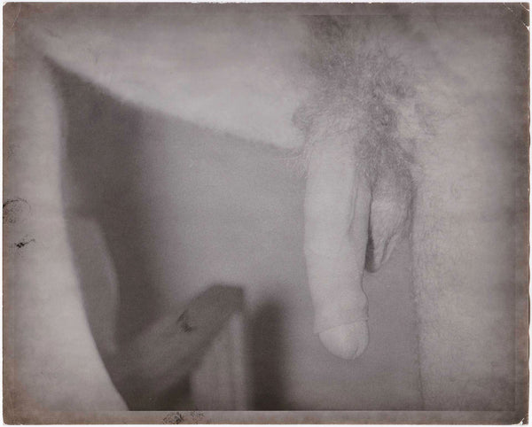 Extremely rare large format close-up photo of an uncut penis. It's almost more of an anatomical image than an erotic one.