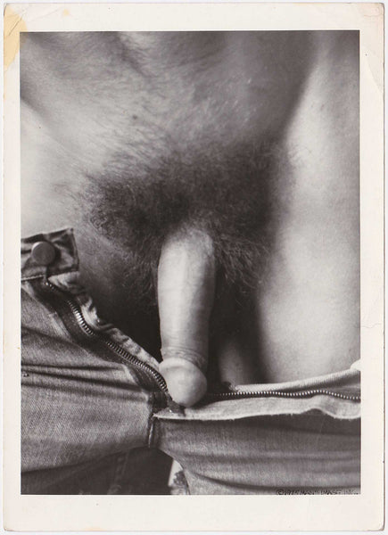 Male Nude with Open Zipper vintage gay photo