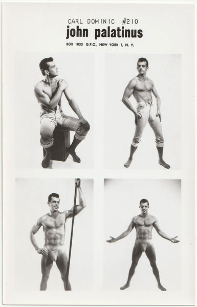 Rare photographic catalog print series #210, well-hung Carl Dominic, by John Palatinus.