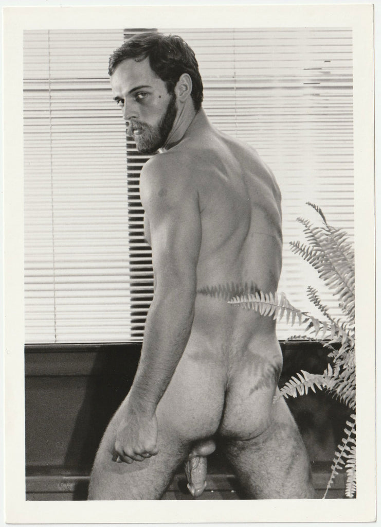 Bearded Male Nude Posterior vintage gay physique photo Target Studios