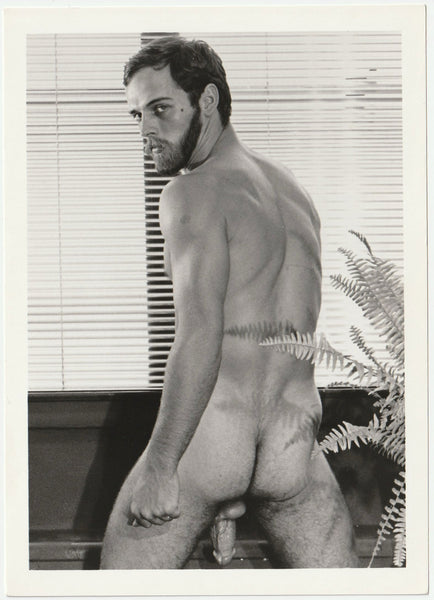 Bearded Male Nude Posterior vintage gay physique photo Target Studios
