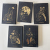 Tom of Finland: The Comic Collection