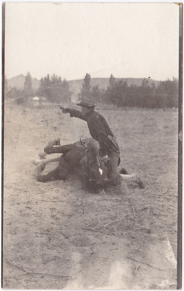 Cowboy with his Horse