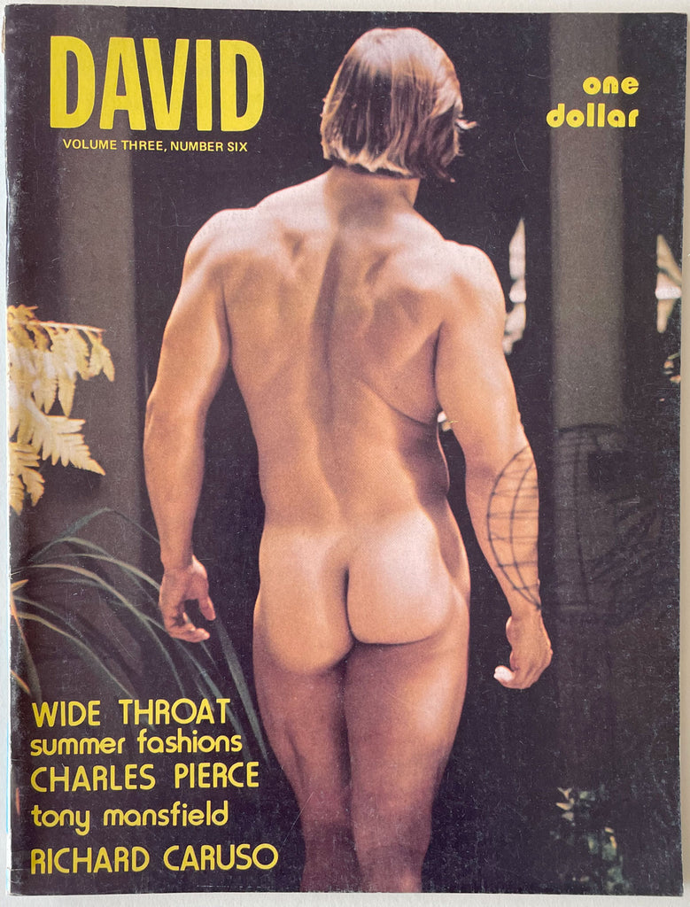 David: Vintage Gay Magazine