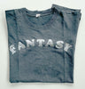 Well-worn vintage "Fantasy" t-shirt with glitter letters, c. 1980s.