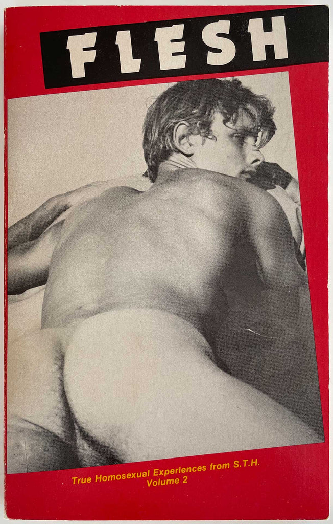 Flesh, True Homosexual Experiences from S.T.H. Vol 2. Gay book