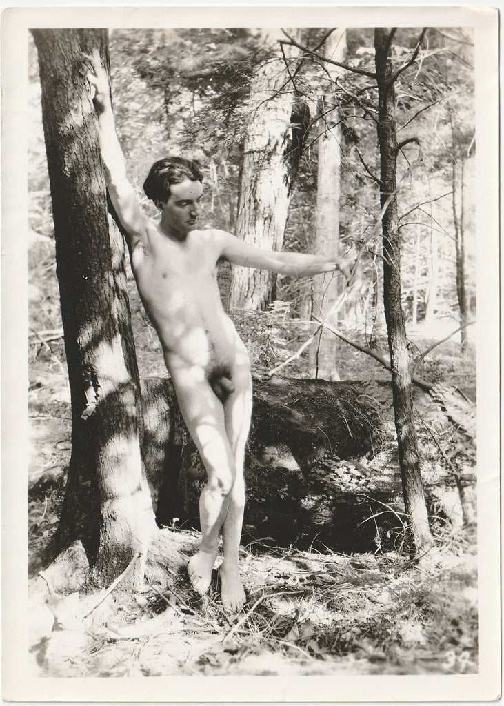 Male Nude in Forest vintage gay physique photo c. 1930.