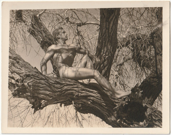 Male Nude Out on a Limb