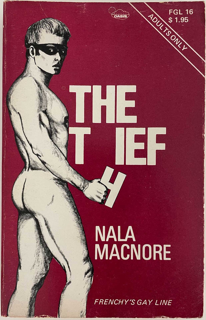 The Thief  A vintage gay pulp novel by Nala Macnore