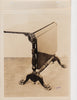 Altman Collection: Antique Folding Table vintage sepia photo