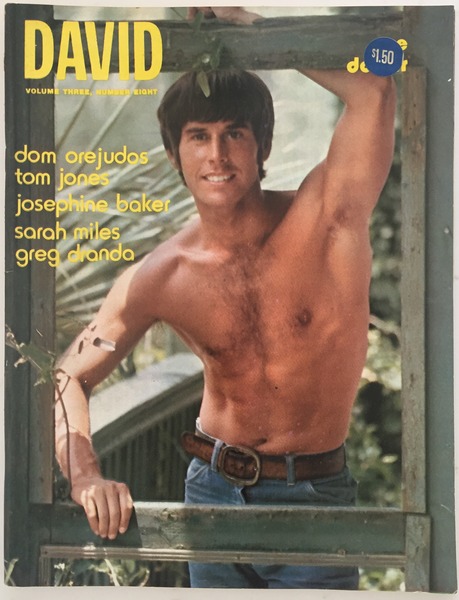 David Vintage Gay Magazine August 1973, Vol 3, No 8