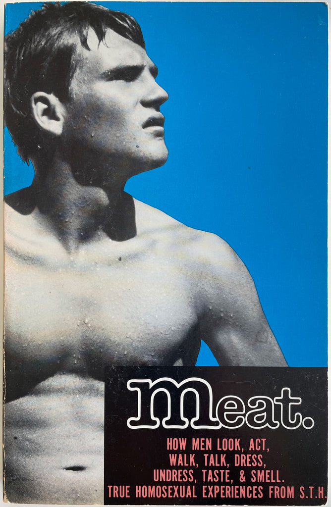 Meat, True Homosexual Experiences from S.T.H. Vintage gay nonfiction book