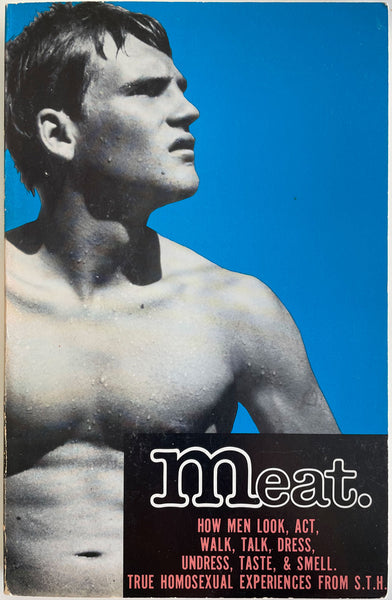 Meat, True Homosexual Experiences from S.T.H. Vintage gay nonfiction book