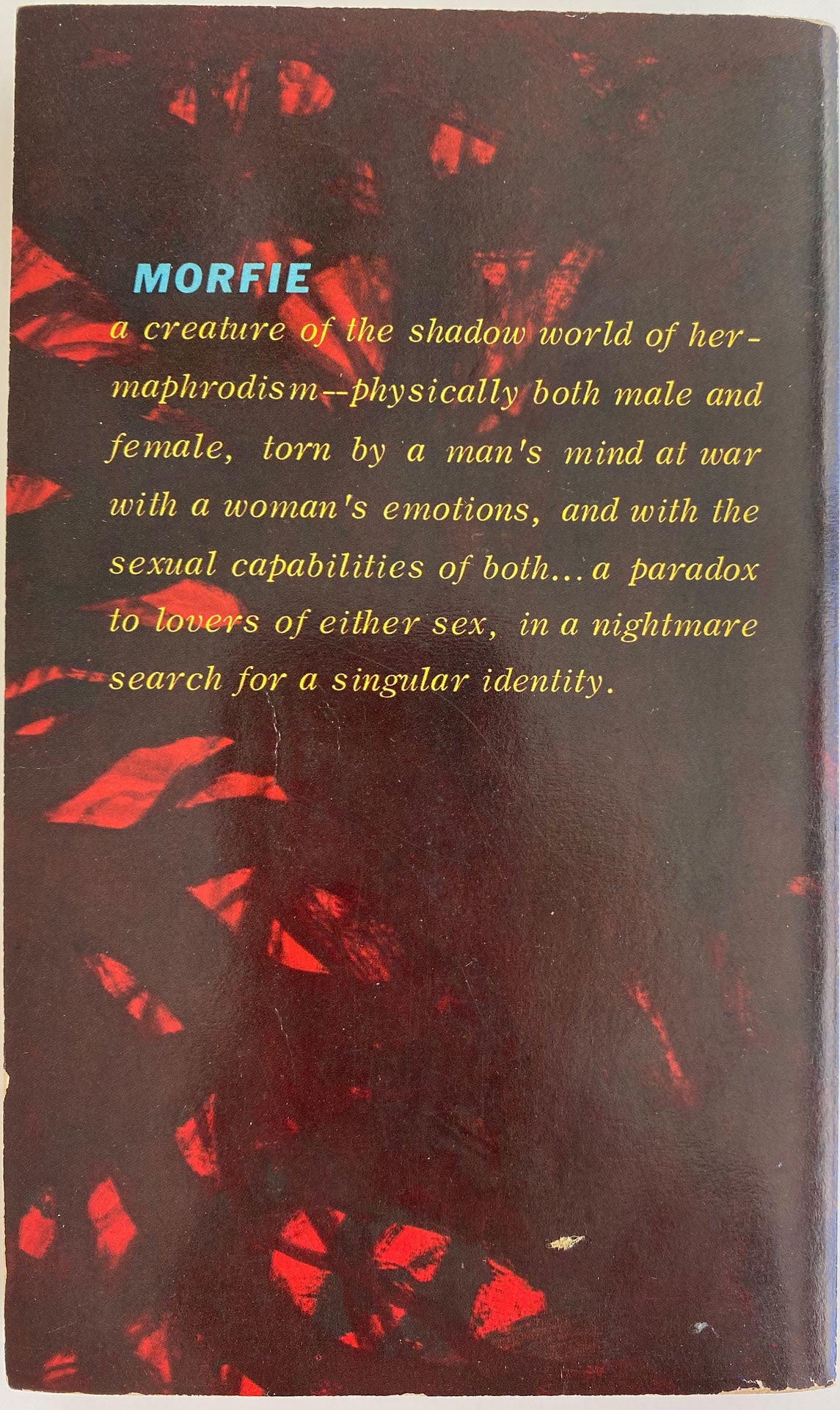 Morfie: Vintage Gay Novel – Homobilia