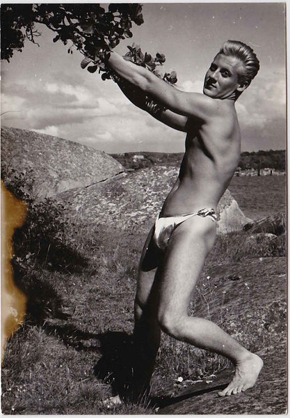 Original vintage photo of Bo Johansson in his posing strap, hanging on to a tree branch, by Stan of Sweden.