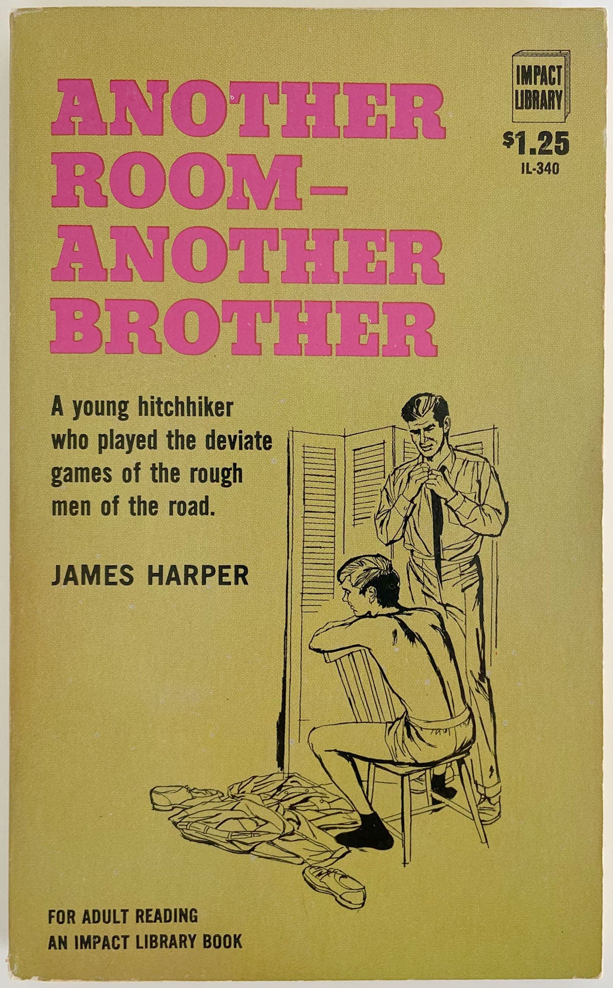 another-room-another-brother-vintage-gay-pulp-novel-homobilia