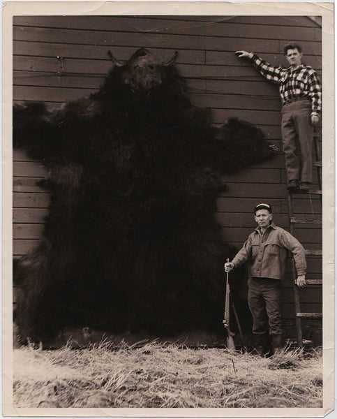 Extraordinary vintage photo of an enormous bearskin that's literally twice the size of the expressionless men who shot it