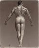 Western Photography Guild Male Nude Ray McGuire Rear View