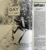 David Vintage Gay Magazine