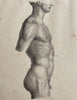 Anatomy Engraving: Male Body Side View