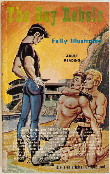 The Gay Rebels  Illustrated Gay Pulp Novel by Larry Price A Unique Book, 1966.