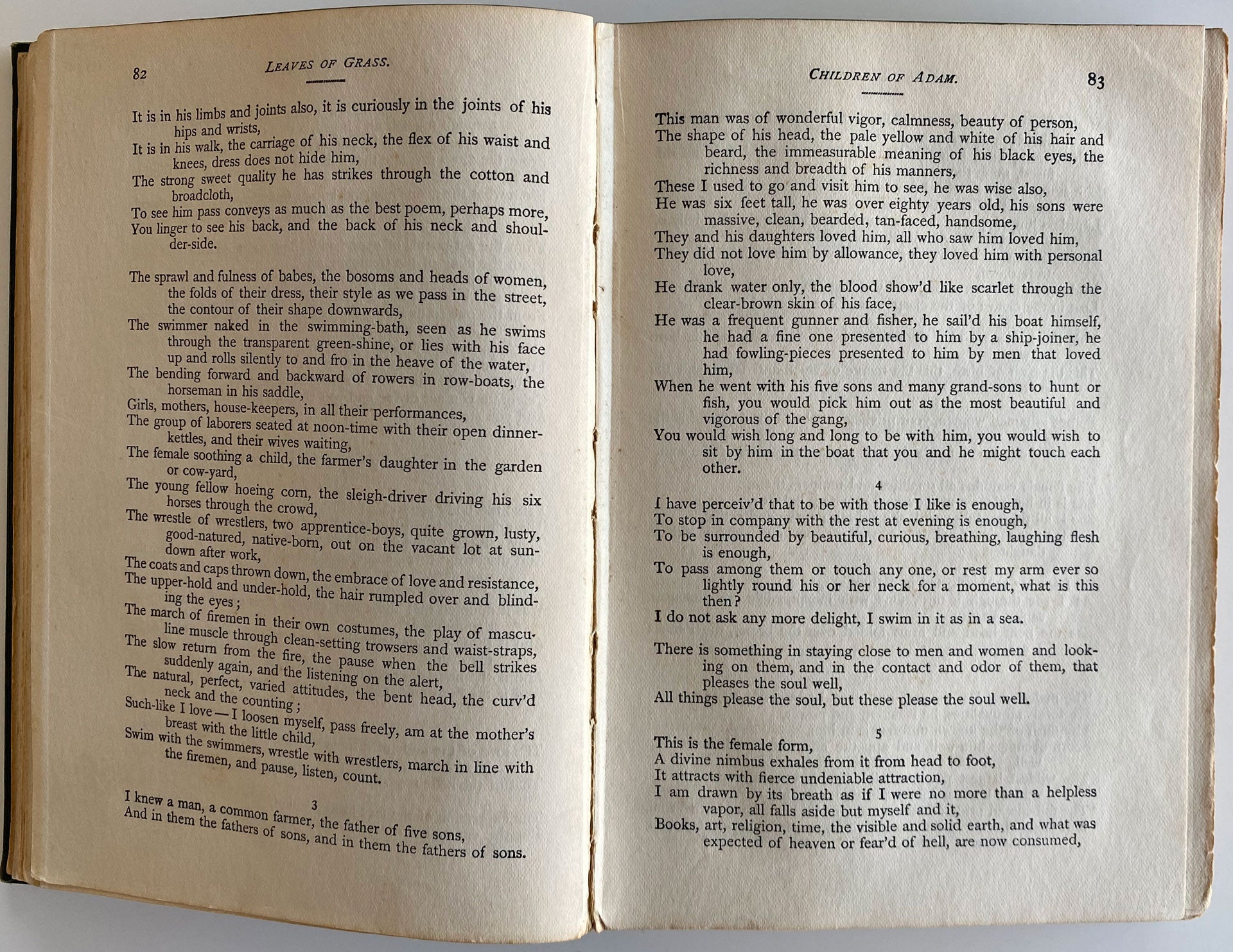 Leaves of Grass, Walt Whitman – Homobilia