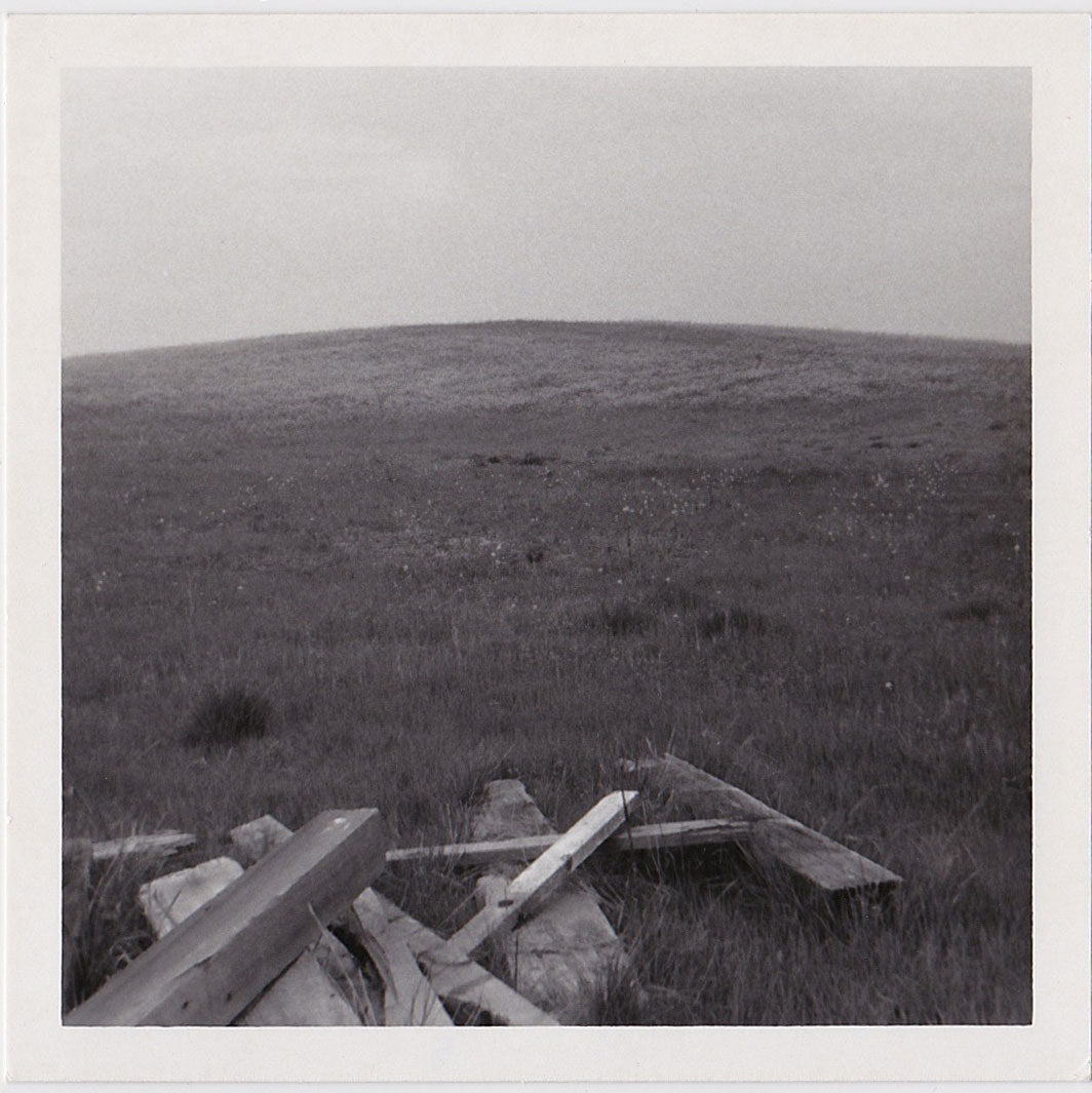 Random Lumber – Homobilia