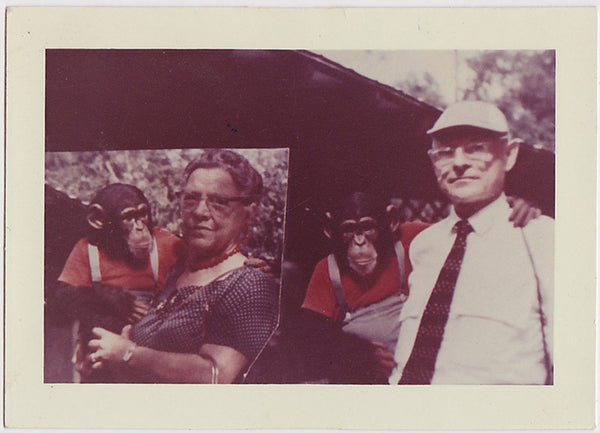 Family Portrait with Chimp vintage color snapshot