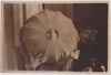Man Holding Lamp Shade to his Face vintage sepia photo