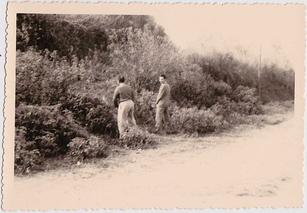 Two men appear to be having a chat while they pee alongside a dirt road vintage snapshot