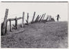 Crawford Barton Vintage Photo: Male Nude Running Along Fence