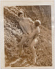 Anonymous vintage sepia photo two young naked wrestlers